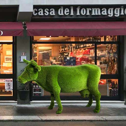 Animali GeoZoo - vista 1