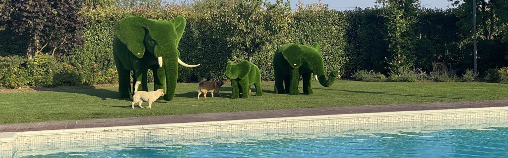 GeoZoo - Animali in erba sintetica