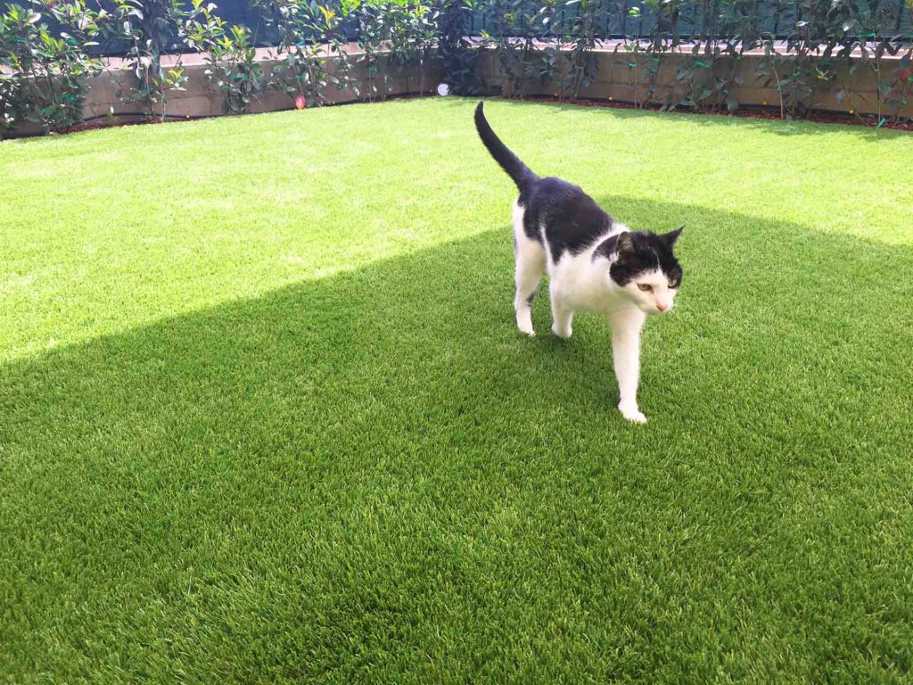 Dettagli erba sintetica giardino