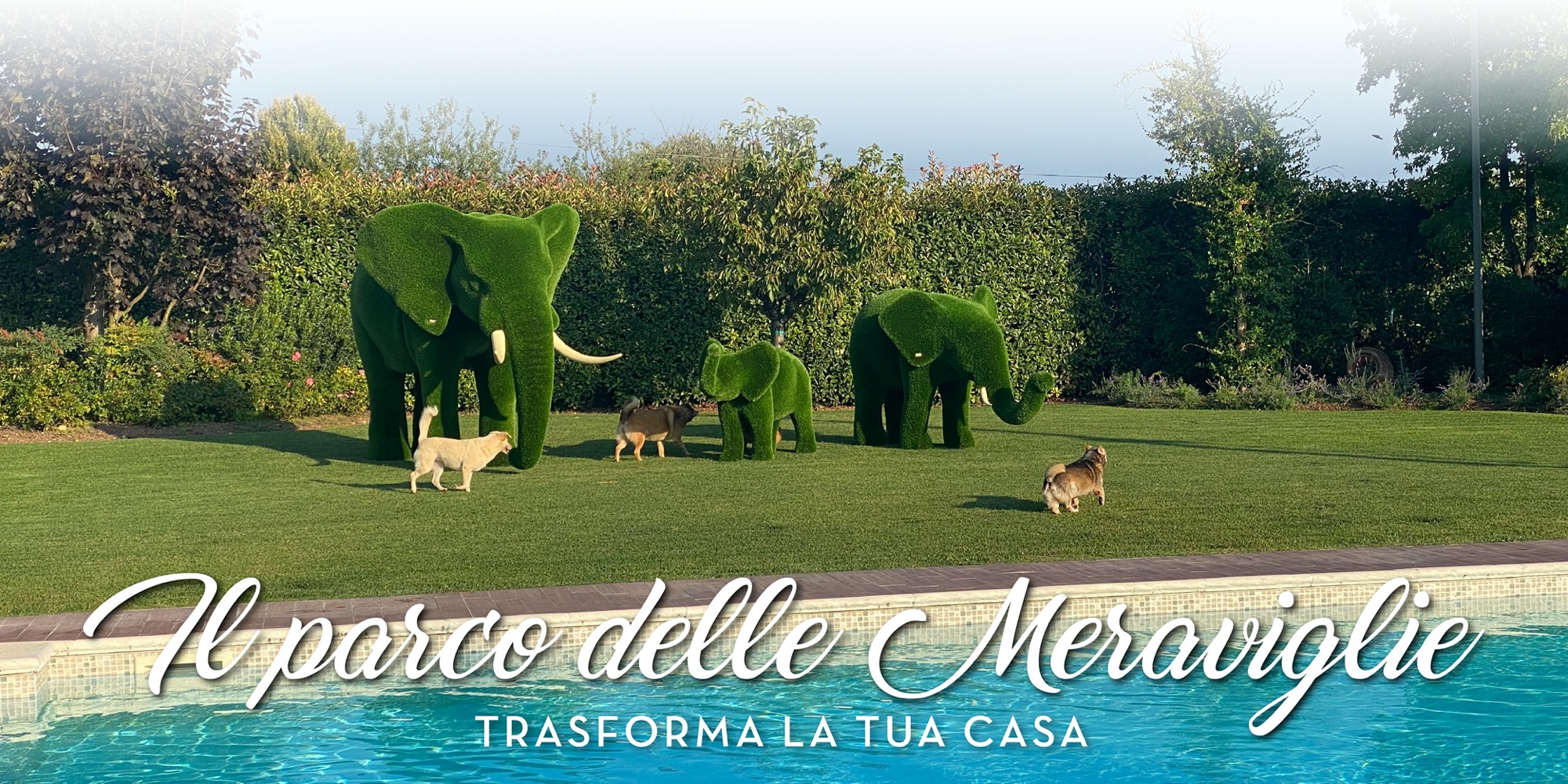 Il Parco delle Meraviglie - Trasforma la tua casa